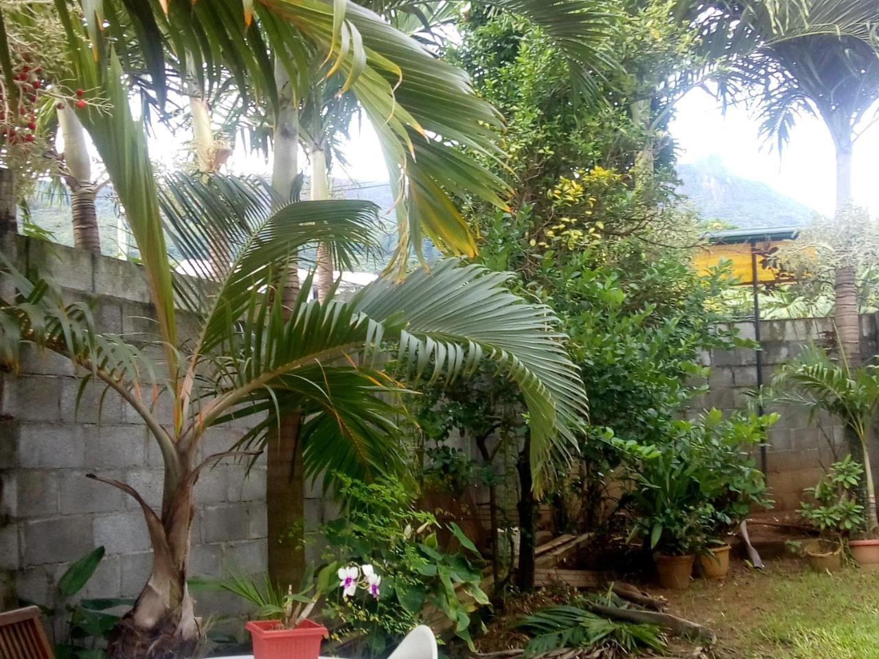 Corner Bay Apartments Beau Vallon,Mahe Victoria Exterior photo